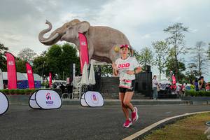 BIB: 
                            <button type="button" onclick="openModal(26528510)" class="btn btn-primary btn-sm float-right btn-popup" data-toggle="modal" data-target=".modal-high-quality">
                        <i class="fas fa-shopping-cart"></i> Add to Cart
                    </button>
                                            <button type="button" onclick="isThisMe(26528510, true)" class="btn btn-success btn-sm float-right btn-popup btn-isme hidden" data-toggle="tooltip" data-placement="bottom" title="นี่คือรูปของคุณใช่ไหม คลิกที่นี่เพื่อเอาเข้าอัลบั้ม">
                        <i class="fas fa-plus"></i> Add to album
                    </button>
                    <button type="button" onclick="isThisMe(26528510, false)" class="btn btn-warning btn-sm float-right btn-popup btn-isnotme hidden">
                        <i class="fas fa-ban"></i> Remove from album
                    </button>